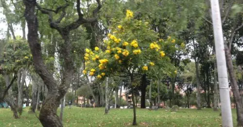 PARQUE REPUBLICA DE FRANCIA BOGOTÁ PARQUE REPUBLICA DE FRANCIA BOGOTÁ